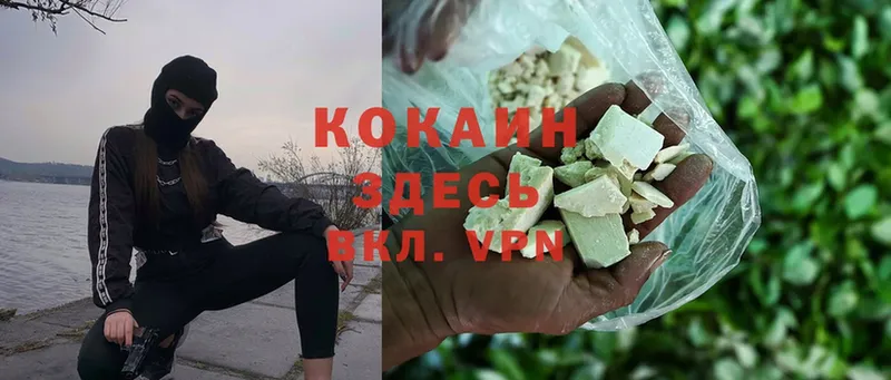 Cocaine FishScale  купить   Лесосибирск 