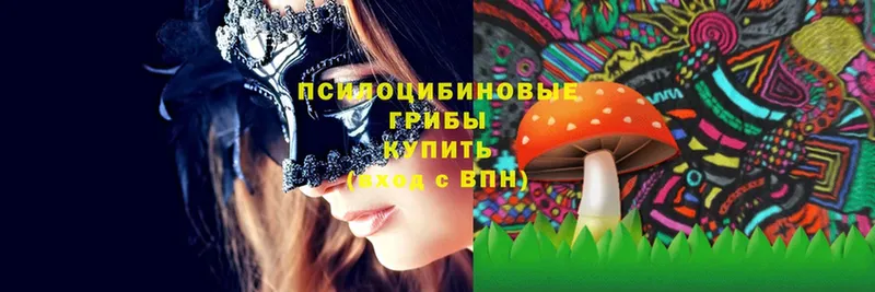 Псилоцибиновые грибы Magic Shrooms  Лесосибирск 